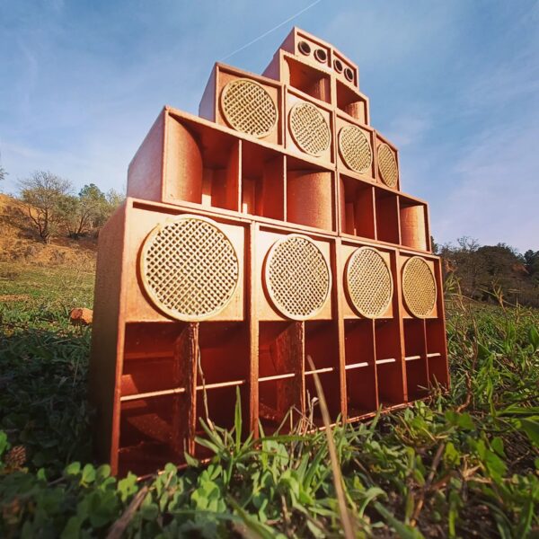 Lionpulse Mini Sound System, a Tribute to UK Sound System Legacy